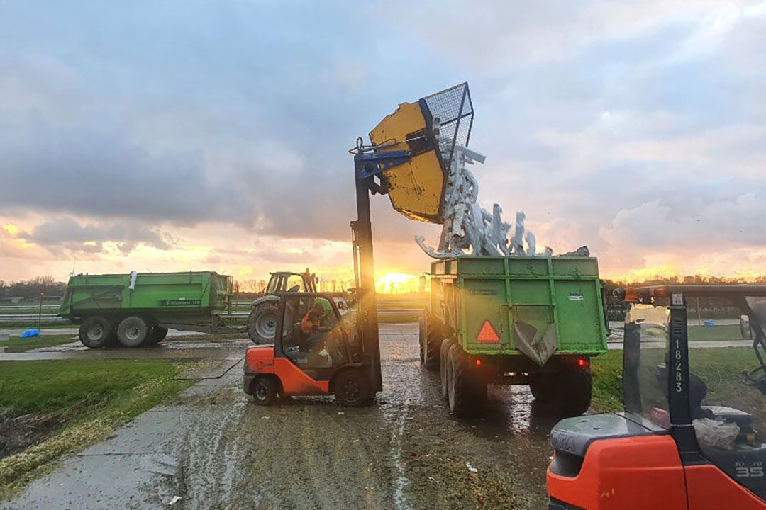 Uitruimen van de kas aan het einde van het seizoen. - Foto: Jeroen Verheul