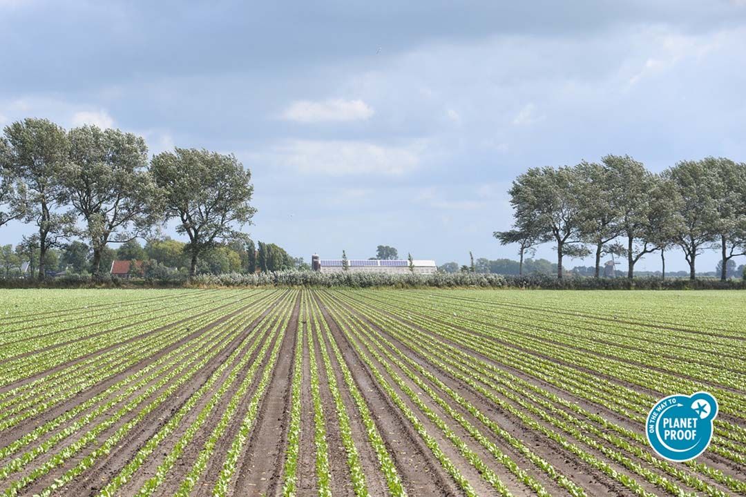 De nieuwe teelteisen moeten vanaf 2026 ingaan. Foto: On the way to PlanetProof