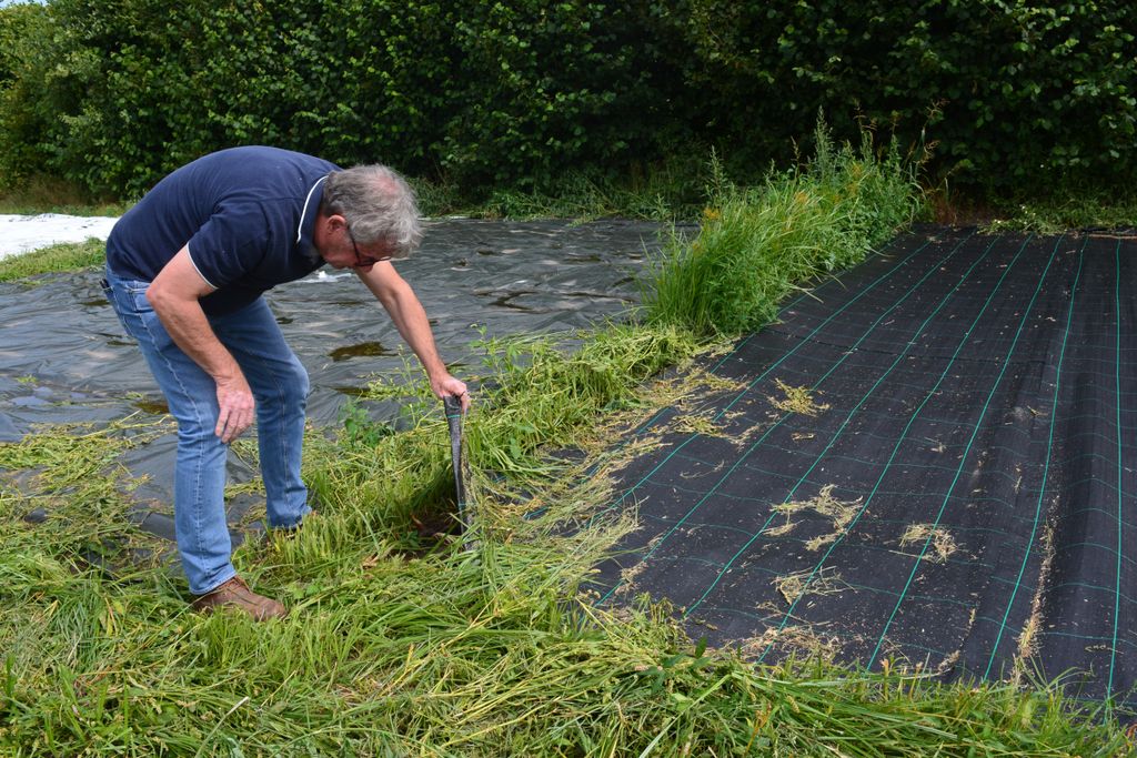 Guido Schriever: “De optimale groei van een plant start nog steeds bij de bemesting, maar die moet gericht zijn op optimale werking van alle planthormonen." – Foto: LLTB