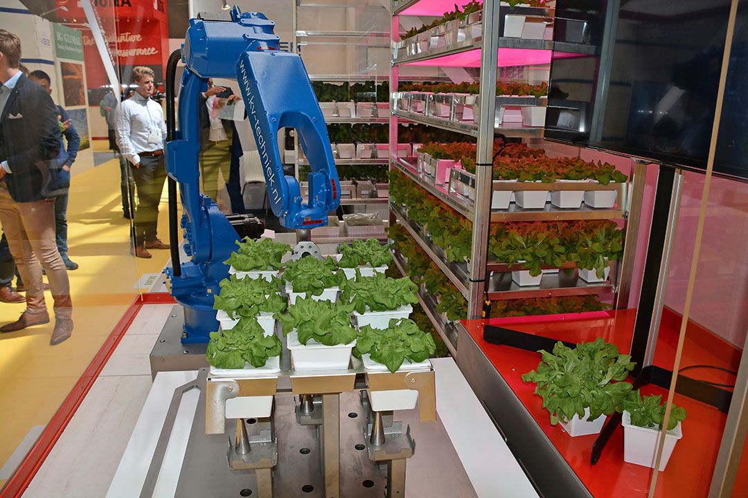 Vertical farming in combinatie met robotisering en individuele watergift. - Foto s: Peter Visser