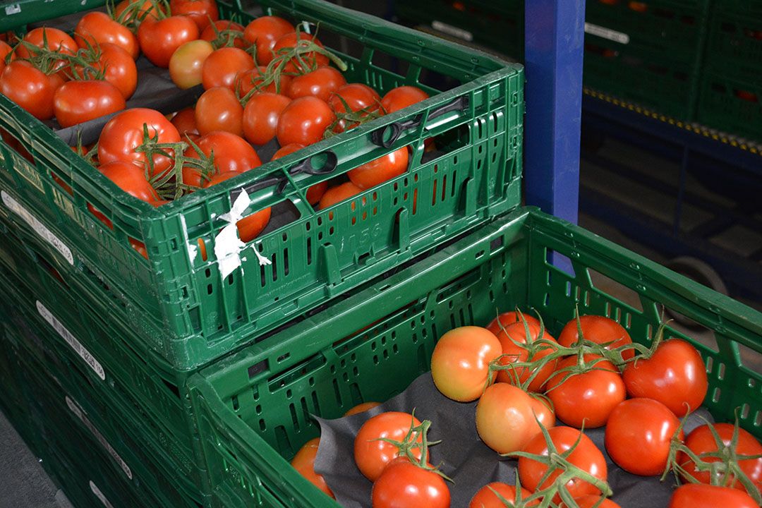 Tomaten grof. Foto: Peter Visser