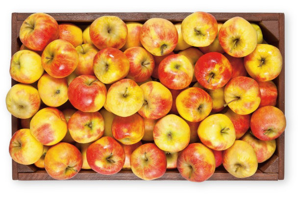 België wil meer interventieruimte appels en peren