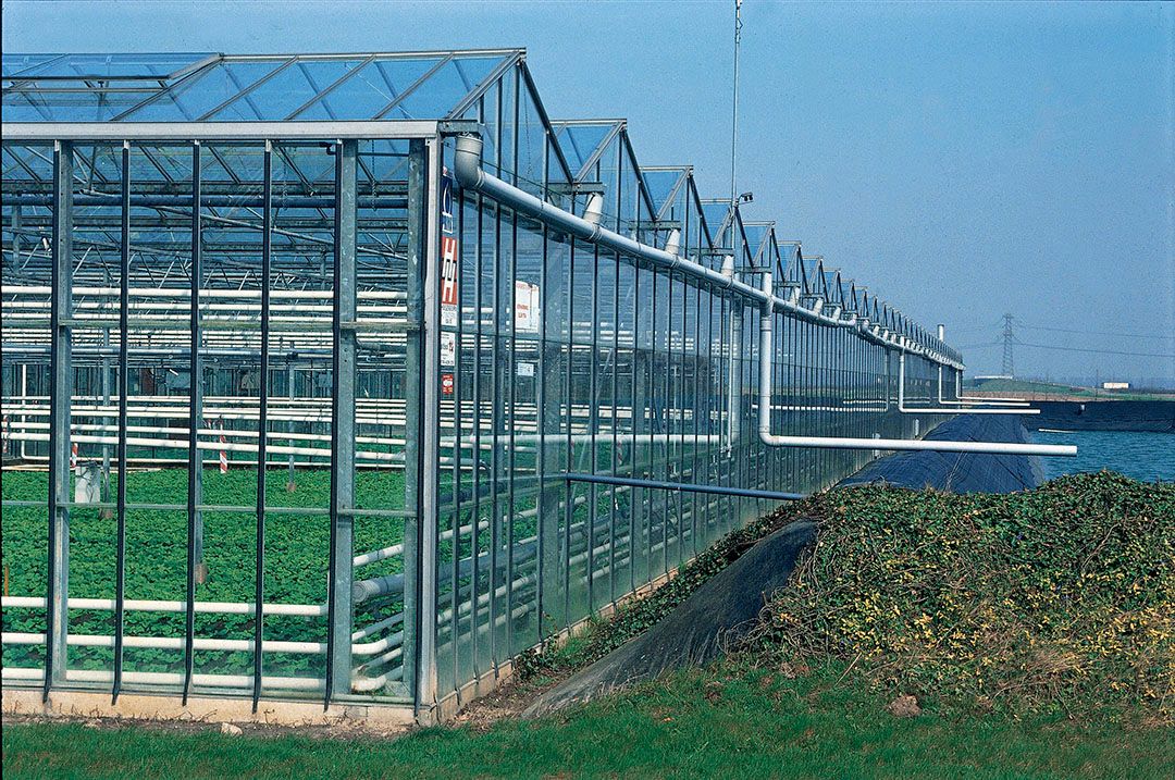 De bedrijfsopvolgingsregeling in de Successiewet (BOR) staat onder druk, maar blijft in 2022 ongewijzigd. - Foto: Theo Tangelder