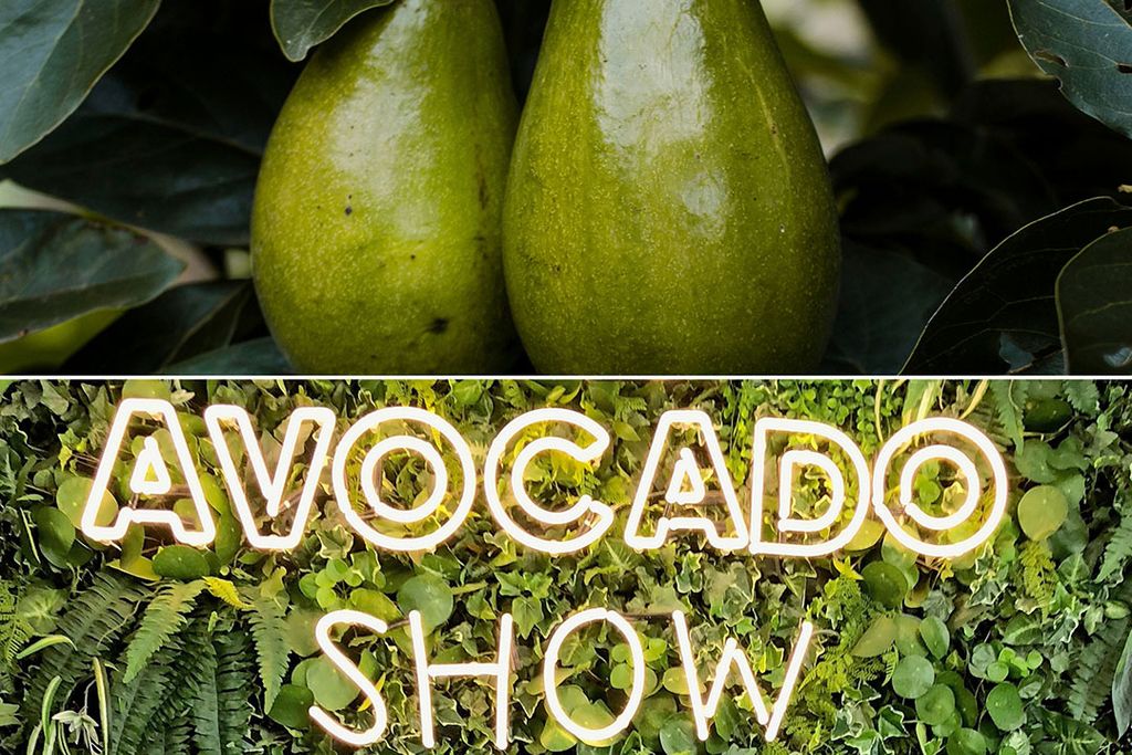 Foto: Canva/The Avocado Show