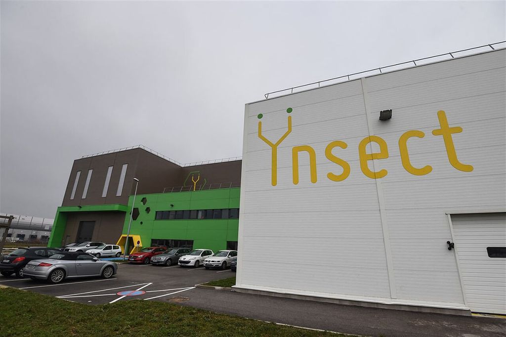 Locatie van Ÿnsect in het Franse Dole. Ÿnsect neemt de Nederlandse insectenkweker Protifarm over.  - Foto: ANP