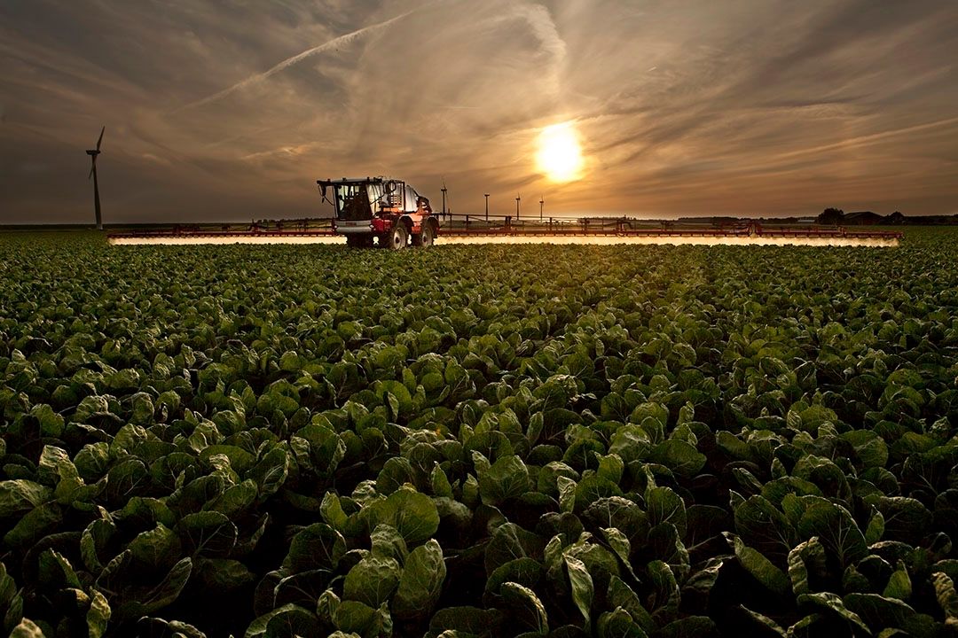 Het spuiten van kool. Veel wettelijk toegelaten middelen zijn bij PlanetProof niet toegestaan. - Foto: Koos Groenewold