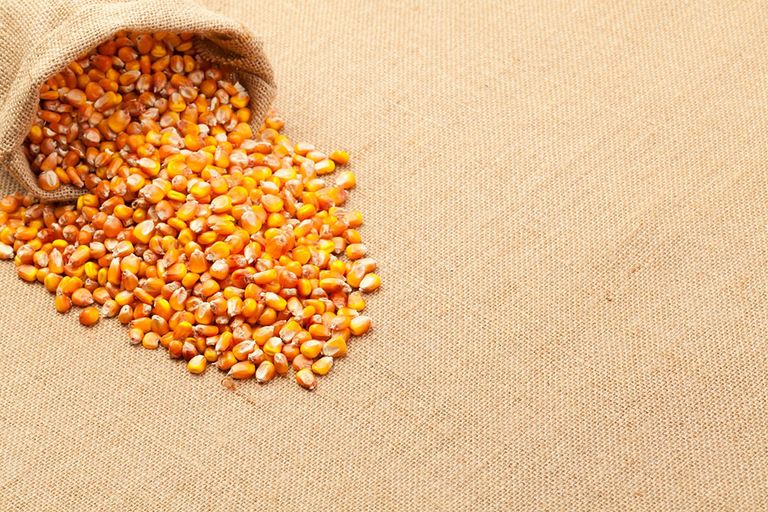 Mais is belangrijk in de productie en consumptie van graan. Foto: Canva