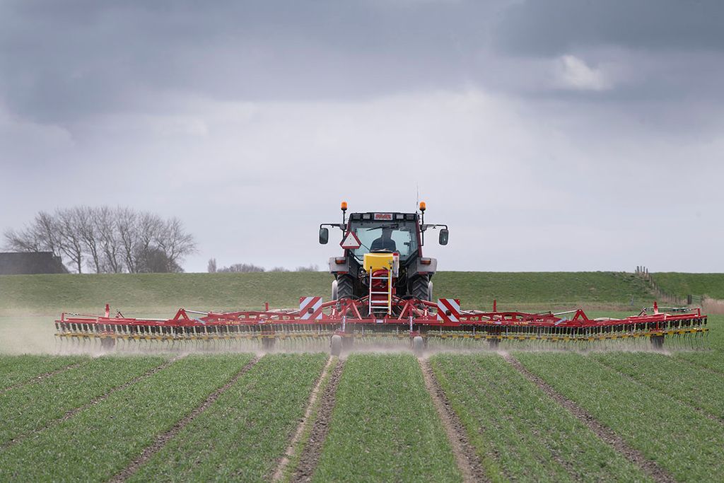 Biologische akkerbouwer aan het werk met een wiedeg. - Foto: Mark Pasveer