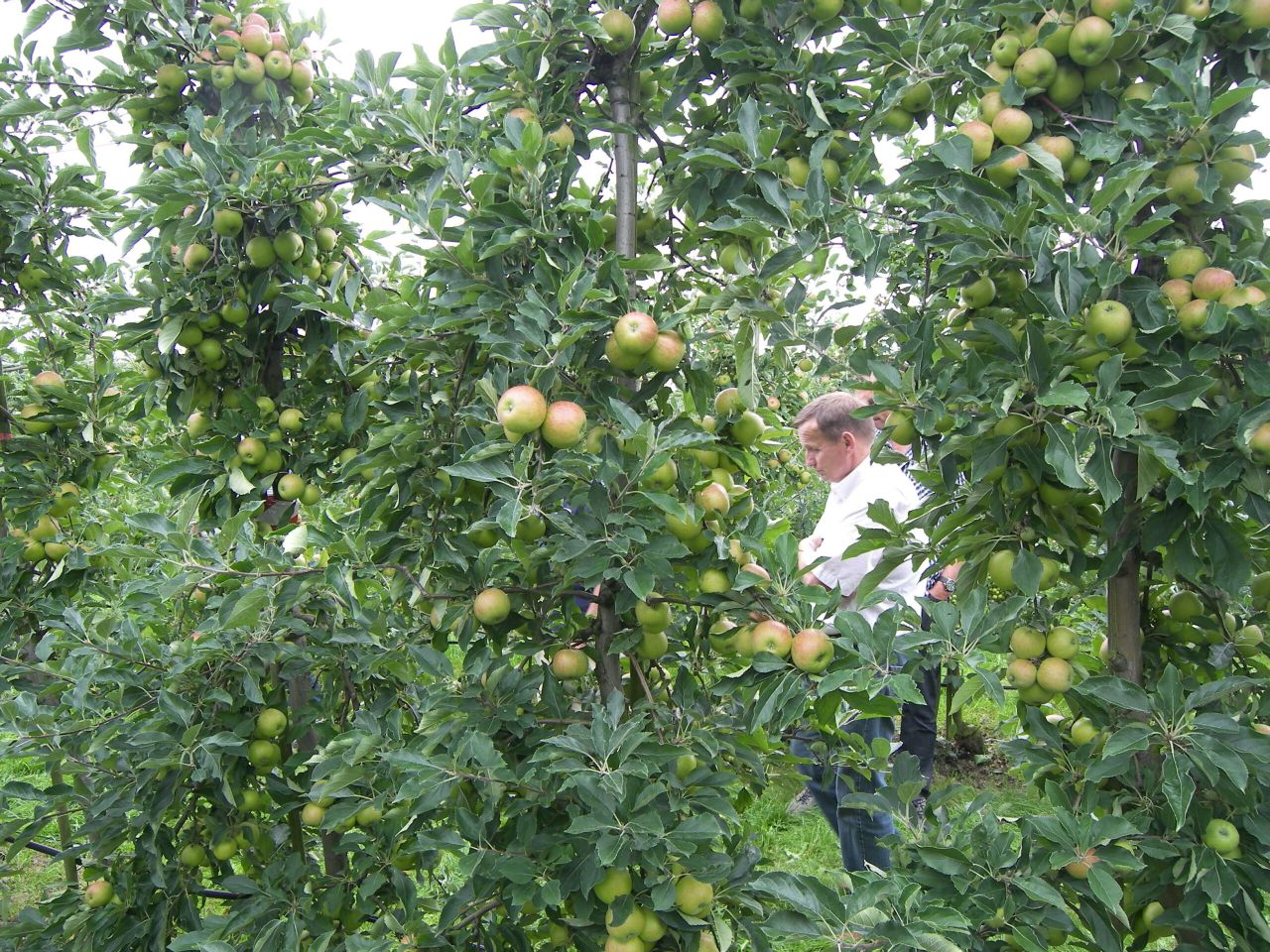 Foto: Groenten & Fruit