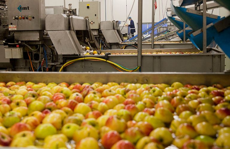 Appels worden gewassen. Foto: Jan Willem Schouten