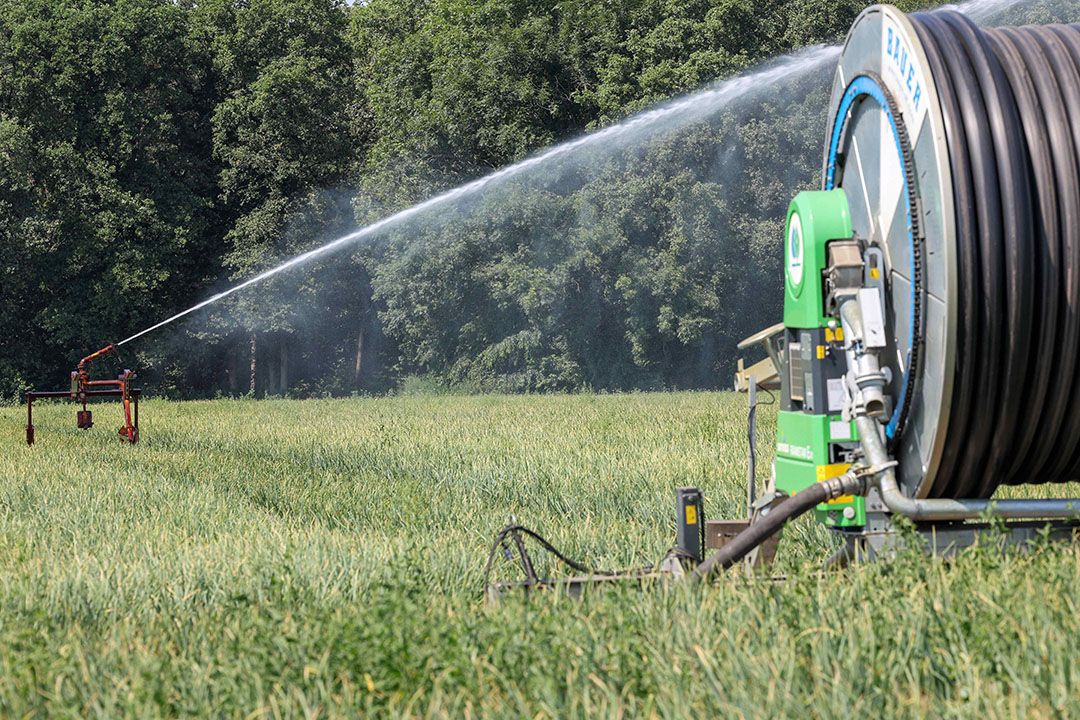 Er zullen niet direct extra beregeningsverboden komen, maar landelijke beslissingen over het watertekort kunnen wel impact hebben op de landbouw.  - Foto: Bert Jansen