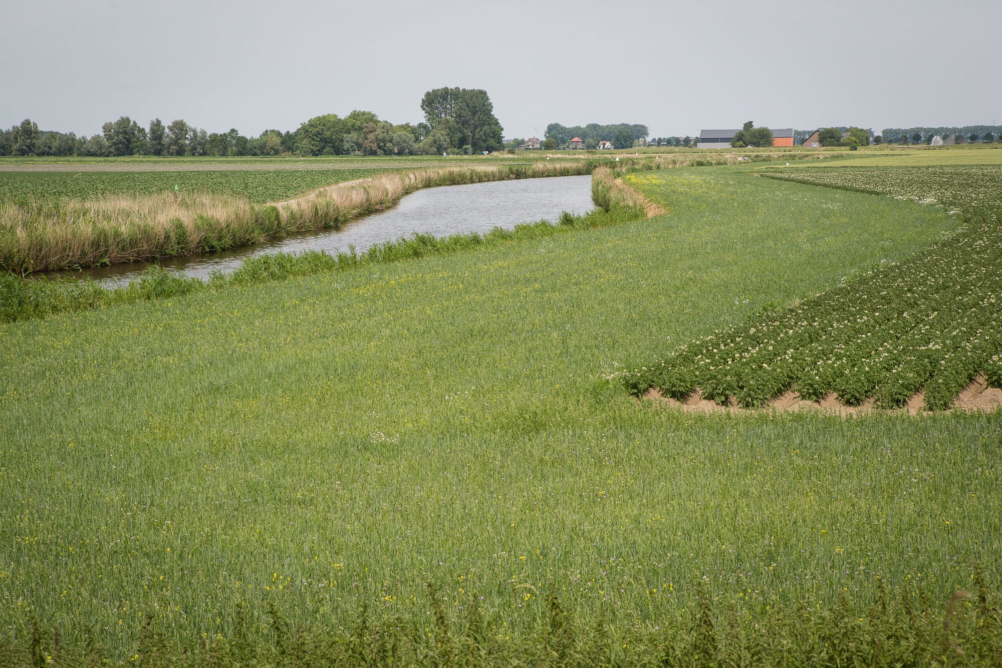 Foto: Peter Roek
