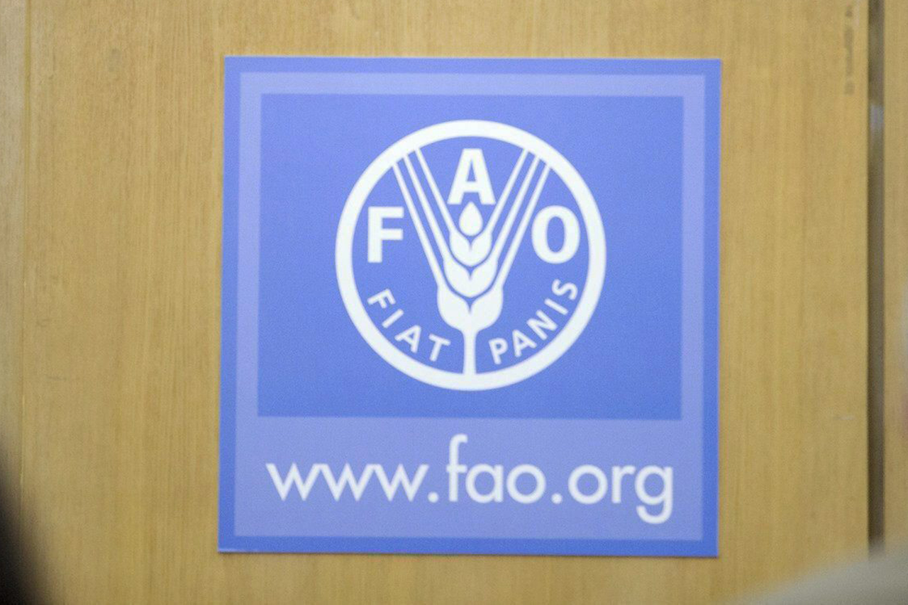 FAO: landbouw heeft dubbele taak bij klimaatverandering - Foto: EPA