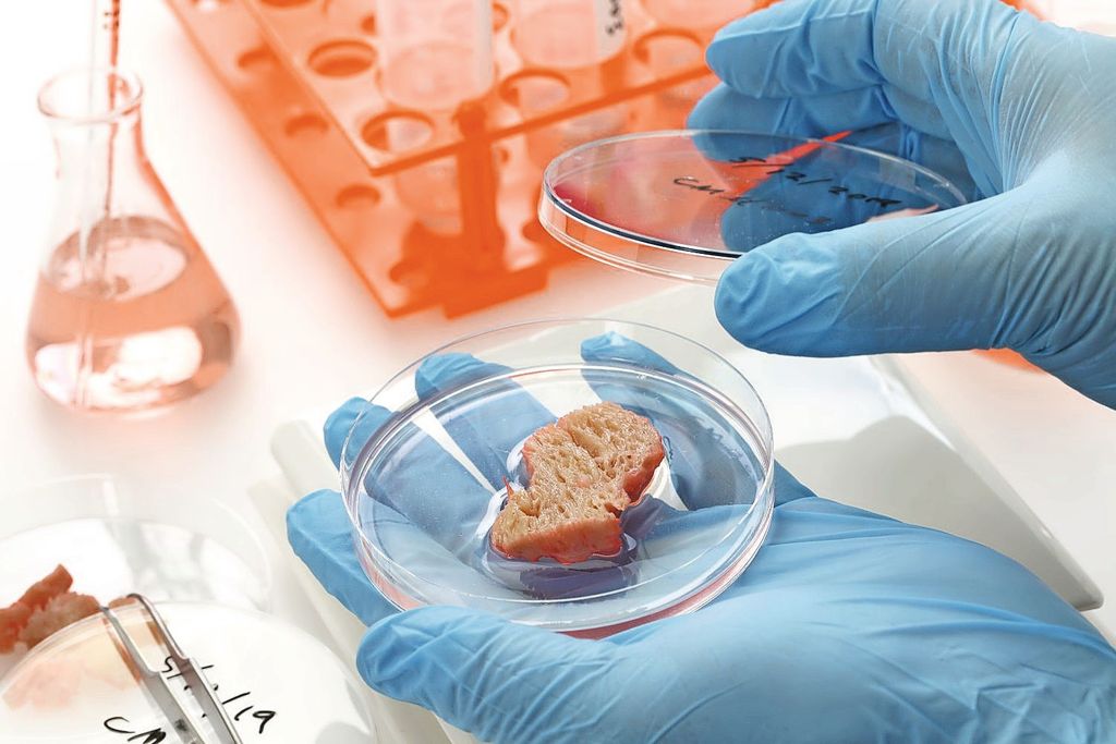 Meatable heeft kweekvleestechnologie overgekocht. Foto: Canva