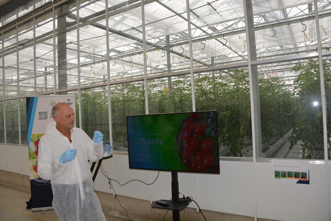Jan Barten geeft aan dat het ToBRFV-virus blijft muteren, zodat meerdere genen met aanvullende resistentiemechanismen gewenst zijn. Foto's: Peter Visser