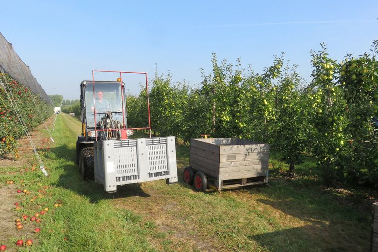 Foto: Groenten&Fruit